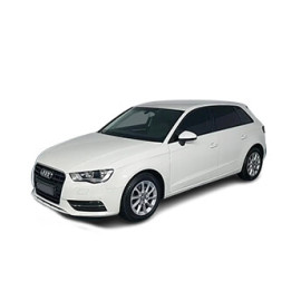 A3