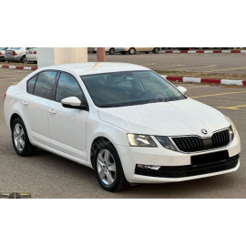 SKODA OCTAVIA- 13/17; ARAÇ BİLGİLERİ VE RESİMLERİ 1391-0000