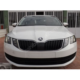 SKODA OCTAVIA- 17/19; ARAÇ BİLGİLERİ VE RESİMLERİ 1397-0000