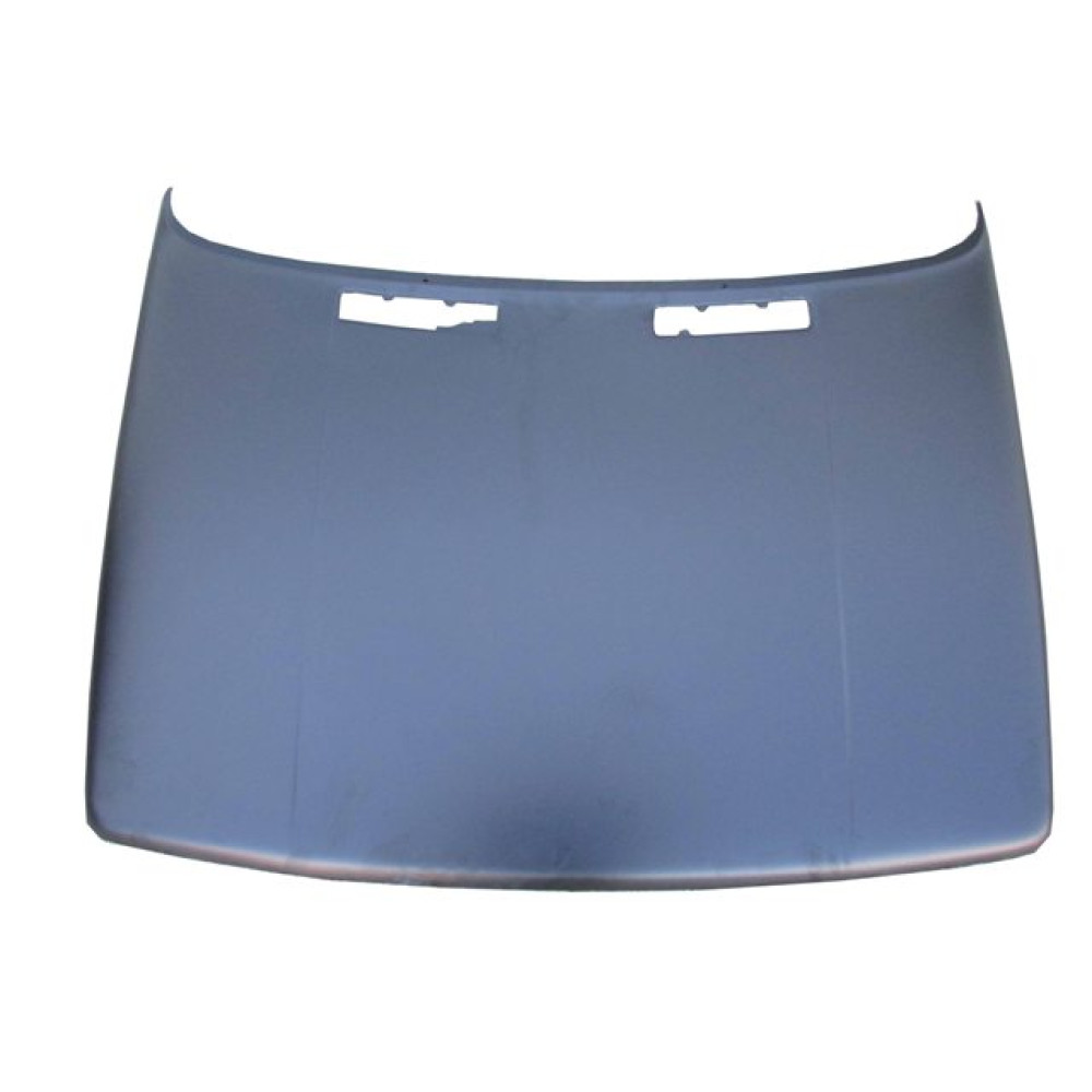 RENAULT R11- FLASH- 86/95; MOTOR KAPUTU (İCELİ/ÇEKOMASTİKLİ) (EAGLE BODY) 1404-2300