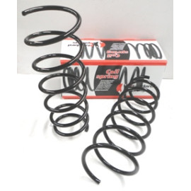 RENAULT R19- EUROPA- 92/01; ÖN HELEZON YAYI SAĞ/SOL (2Lİ SET) (12,75X161) (STDR) 1412-6516