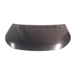 CITROEN C4 CACTUS- 14/17; MOTOR KAPUTU ÇELİK (TW) 1646-2300