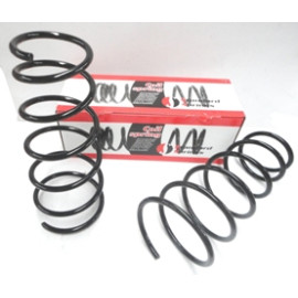 FIAT DOBLO- 01/05; ÖN HELEZON YAYI SAĞ/SOL (2Lİ SET)(13,25X144X190) (STDR) 1870-6516