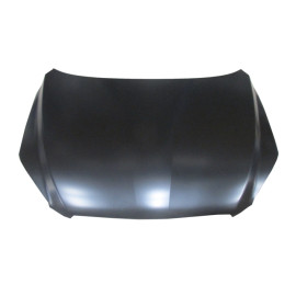 TOYOTA RAV4- 06/09; MOTOR KAPUTU (TYG) 244-2300