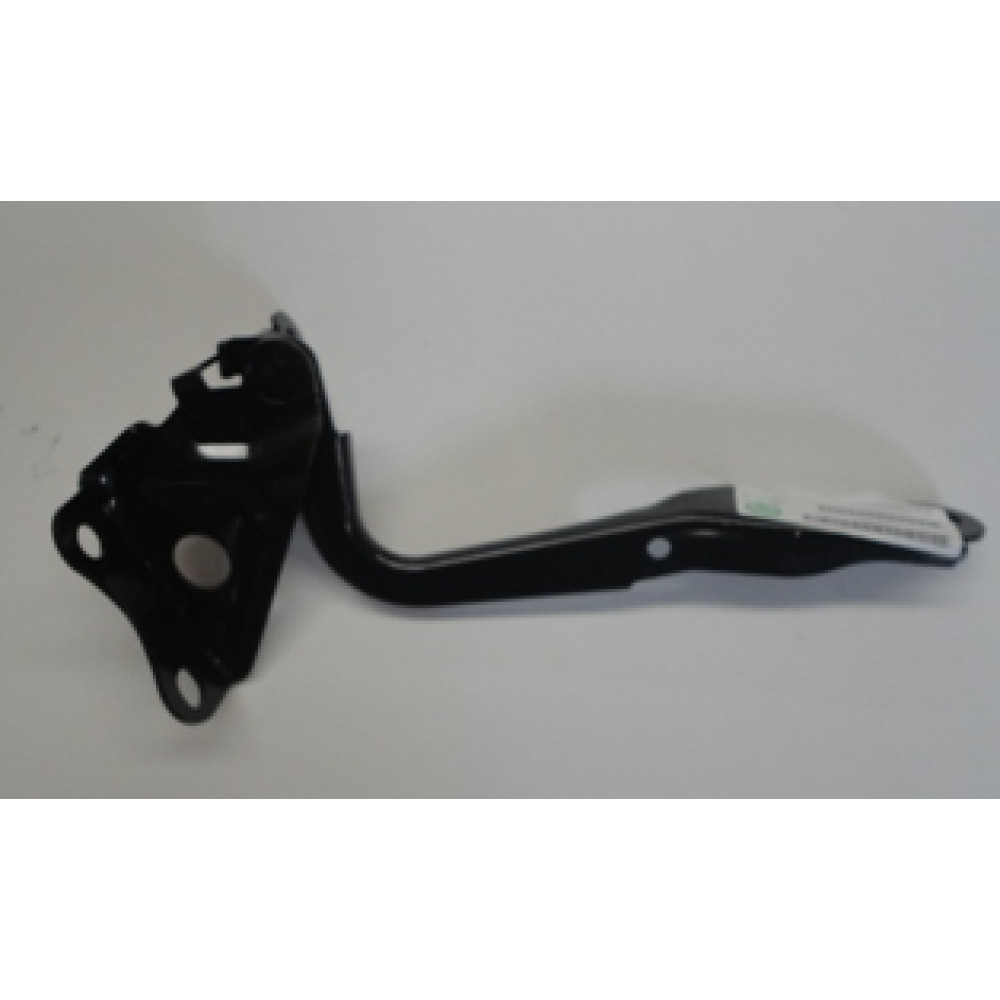 TOYOTA RAV4- 06/09; KAPUT MENTEŞESİ SAĞ (TYG) 244-2355