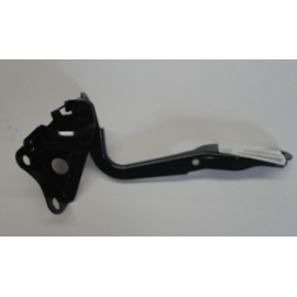 TOYOTA RAV4- 06/09; KAPUT MENTEŞESİ SAĞ (TYG) 244-2355