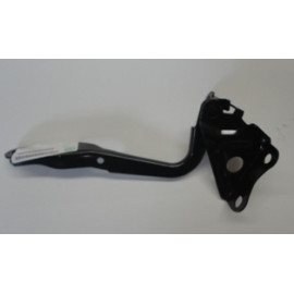 TOYOTA RAV4- 06/09; KAPUT MENTEŞESİ SOL (TYG) 244-2356