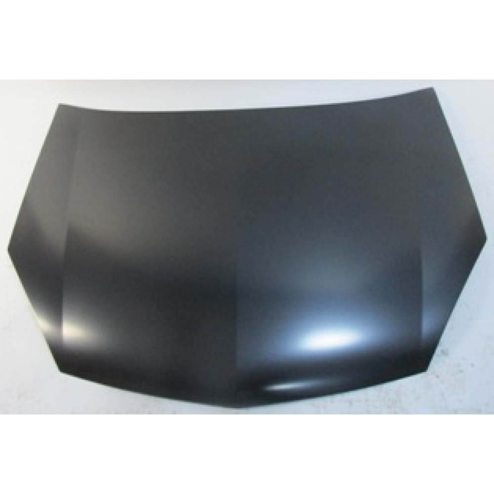 OPEL VECTRA- 06/09; MOTOR KAPUTU (TW) 738-2300