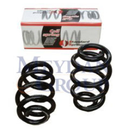 RENAULT MASTER- 1- 97/03; ÖN HELEZON YAYI SAĞ/SOL (2Lİ SET)2.5/2.8 TDI (19X158X269)(STDR) 1495-6516