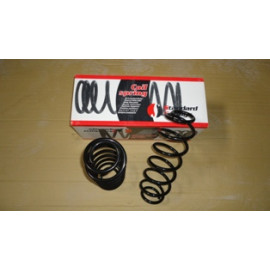 FORD FIESTA- 02/07; ARKA HELEZON YAYI SAĞ/SOL (2Lİ SET)1.4/1.6 16V (9,75X110X334)(STDR) 807-6526