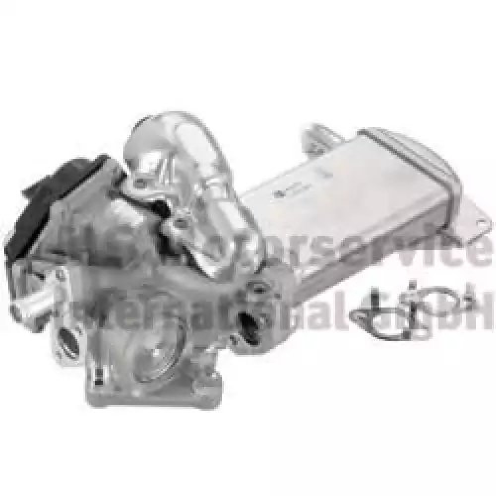 EGR VALFI 700438 PRG 7.11237.06.0 EGR VALFI 700438 PRG 7.11237.06.0