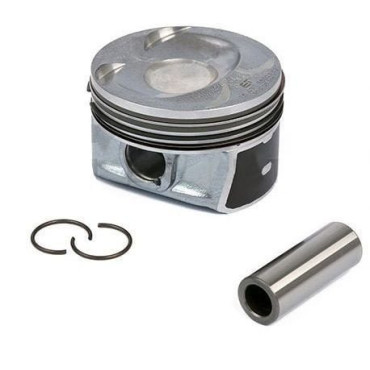 PISTON+SEGMAN 19 Ø  (74,50 mm) FM 87-72153 050