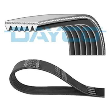 V KAYISI 6PK1004-6PK1000 DAY 6PK1005