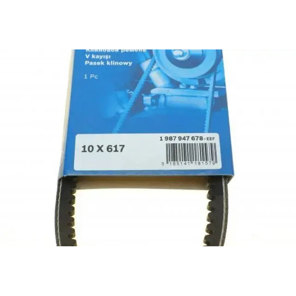 DIREKSIYON POMPA KAYISI 10x617 BCH 1987947678