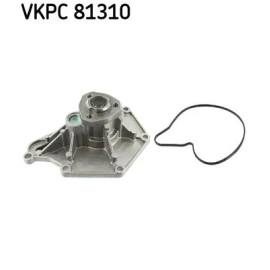 DEVIRDAIM 980272 / P582 SKF VKPC 81310 DEVIRDAIM 980272 / P582 SKF VKPC 81310