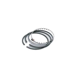 SEGMAN 2,5x2x3  (050 : 81,5 mm) FM 06-891107.00 SEGMAN 2,5x2x3  (050 : 81,5 mm) FM 06-891107.00
