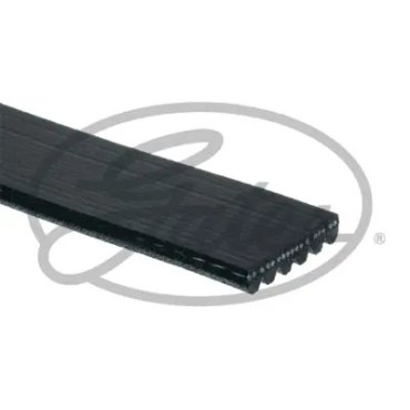 V KAYISI BB-6PK2585 / 6PK2581 Roadmax GTS RDM2585K6 V KAYISI BB-6PK2585 / 6PK2581 Roadmax GTS RDM2585K6