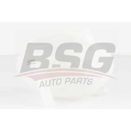 RADYATÖR YEDEK SU DEPOSU GENLESME KABI BSG 90-550-009 RADYATÖR YEDEK SU DEPOSU GENLESME KABI BSG 90-550-009