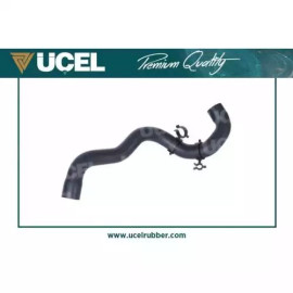 RADYATÖR SU HORTUMU ÜST RAP R25962 RADYATÖR SU HORTUMU ÜST RAP R25962