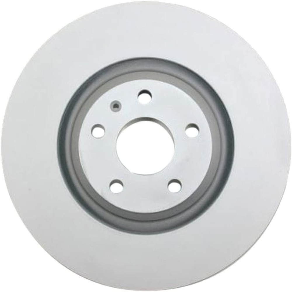 FREN DISKI ÖN DDF1847 (ADET FIYAT) BSG 11-210-001