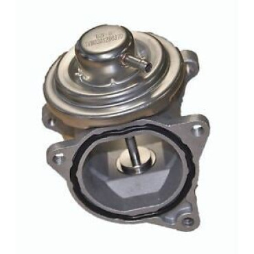 EGR VALFI 7496D PRG 7.24809.16.0